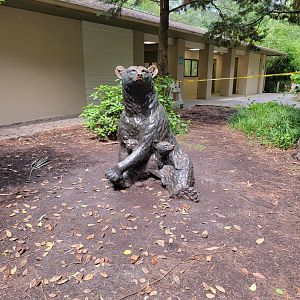 Salisbury - Andean bear statue