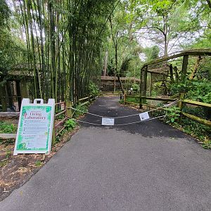 Salisbury - Coati/ocelot/tamarin path closed because of covid