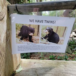 Salisbury - Sign for Andean bear cubs