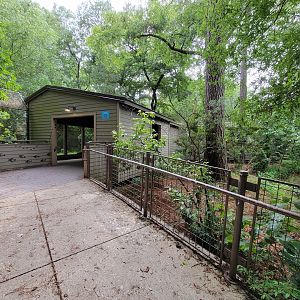 Salisbury - Red wolf viewing area