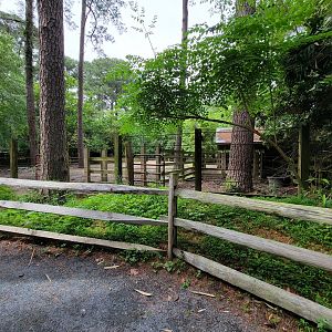Salisbury - Bison holding area