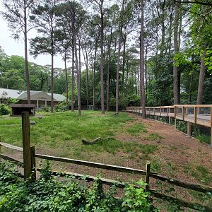 Salisbury - South American yard with new boardwalk to Canada lynx
