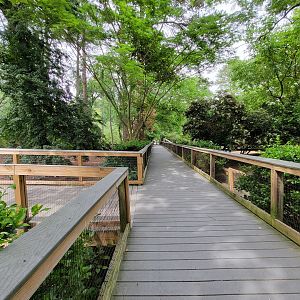 Salisbury - South American yard with new boardwalk to Canada lynx