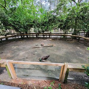 Salisbury - Prairie dogs