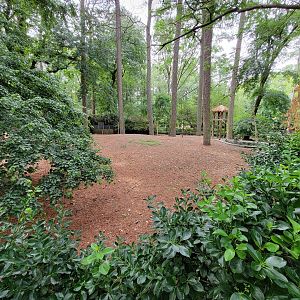 Salisbury - South American yard