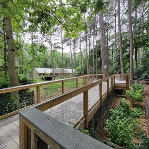 Salisbury - New boardwalk through South American yard
