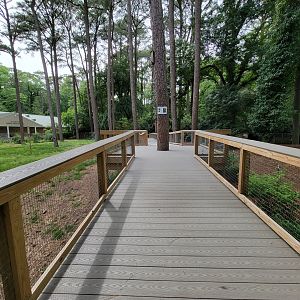 Salisbury - New boardwalk through South American yard