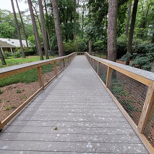 Salisbury - New boardwalk through South American yard