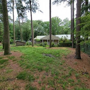 Salisbury - Corner of South American yard, with new veterinary building visible