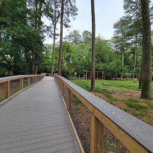 Salisbury - Lynx end of new boardwalk