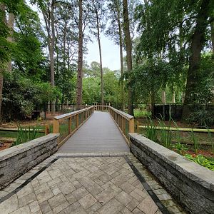 Salisbury - Lynx end of new boardwalk