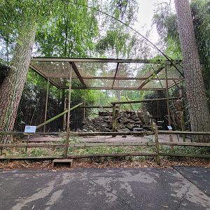 Salisbury - Canada Lynx exhibit, formerly held jaguar