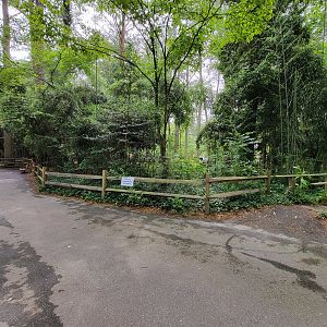 Salisbury - The old, empty exhibit by the lynx area is gone