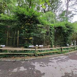 Salisbury - North American waterfowl