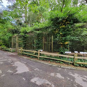 Salisbury - North American waterfowl