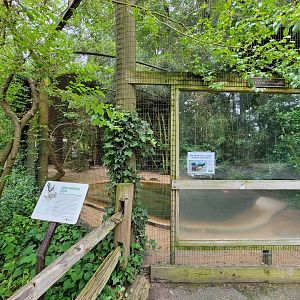 Salisbury - North American waterfowl