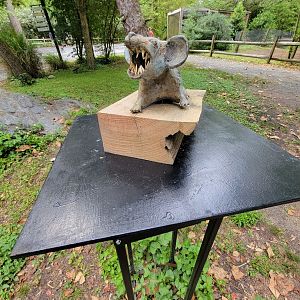 Salisbury - Not the most pleasant sculpture