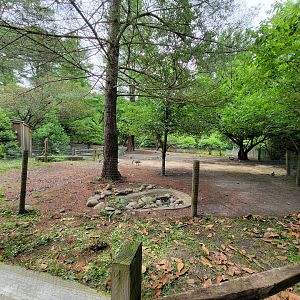 Salisbury - Old alpaca yard, lots of wild waterfowl