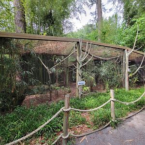 Salisbury - Sloth, red-footed tortoise