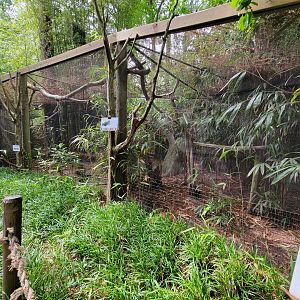 Salisbury - Sloth, red-footed tortoise