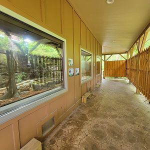 Salisbury - Herp viewing windows