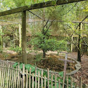 Salisbury - (empty?) American alligator pond