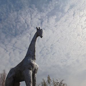 Giraffe Statue