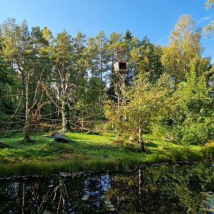 White-handed Gibbon Island