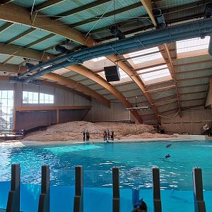 Dolphinarium