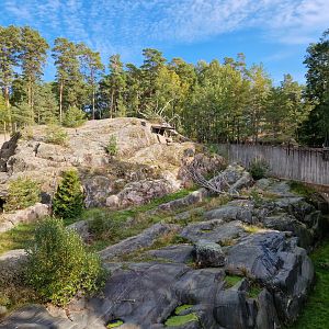 Snow leopard exhibit