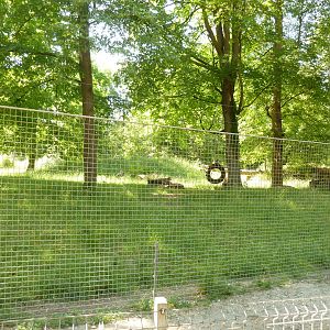 Emu enclosure