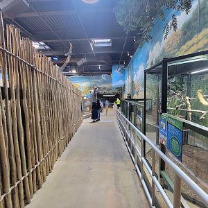 Adventure Aquarium - Path in hippo room
