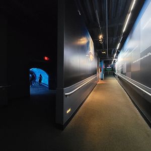 Adventure Aquarium - End of shark tunnel, path