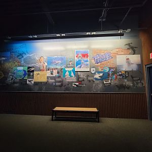 Adventure Aquarium - Graffiti-type wall decorations