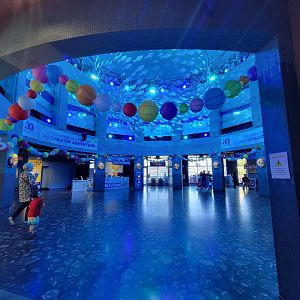 Adventure Aquarium - Rotunda
