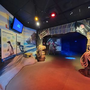 Adventure Aquarium - Pirate's Passage