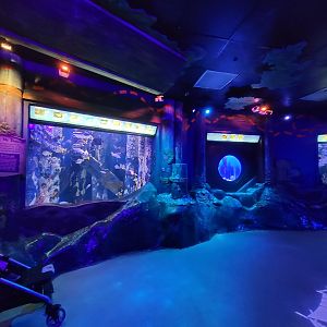 Adventure Aquarium - Pirate's Passage
