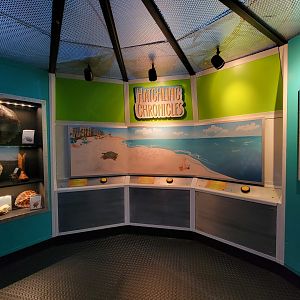 Adventure Aquarium - Hatchling chronicles