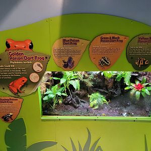 Adventure Aquarium - Mixed assortment of PDFs