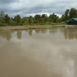 1.2 Acre Hippo Exhibit