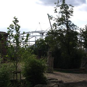 Gondwanaland view from elephant outdoor enclosure)
