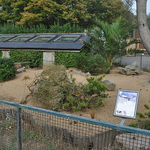 Marginated Tortoise Enclosure