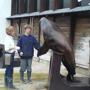 me and berkley on my work experience