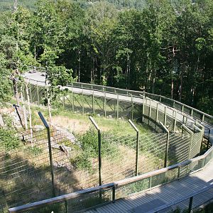 Tiger enclosure
