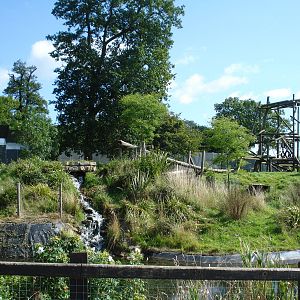Chimpanzee enclosure