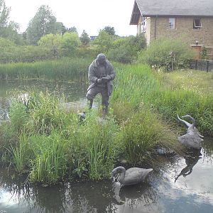 Statue of Sir Peter Scott