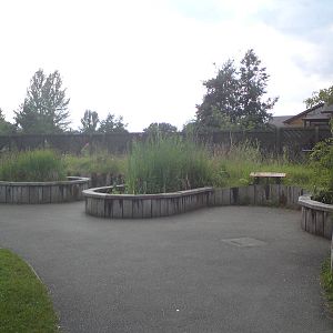 Ponds for native wildlife