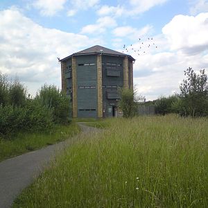 Peacock tower