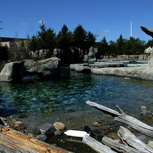 Beluga Enclosure