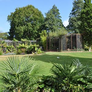 Hornbills, Turaco, Oriole, Pink Pigeon, Robin Chat etc. aviaries